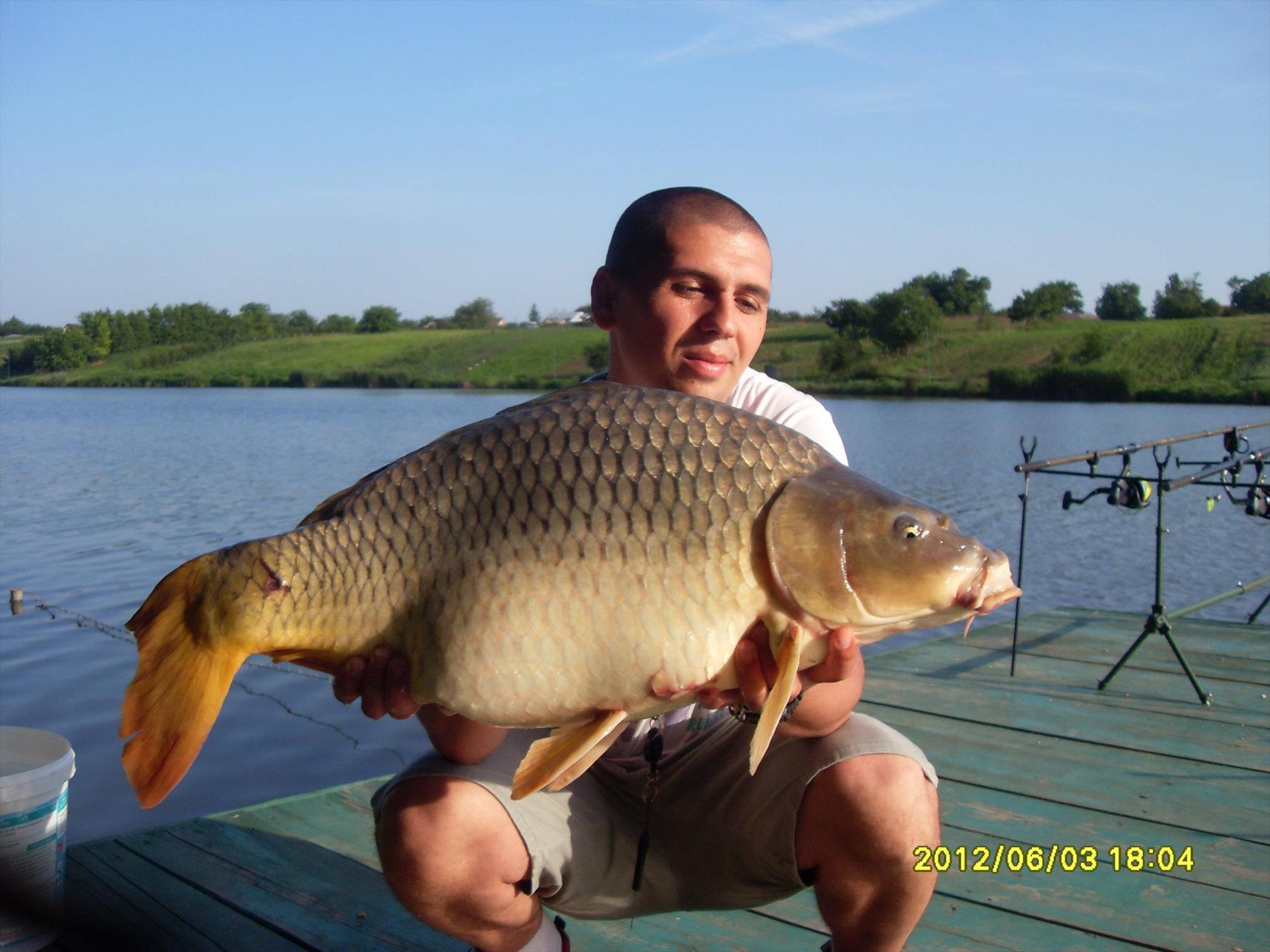 Crapturi - 460423237467879701937986520582o.jpg